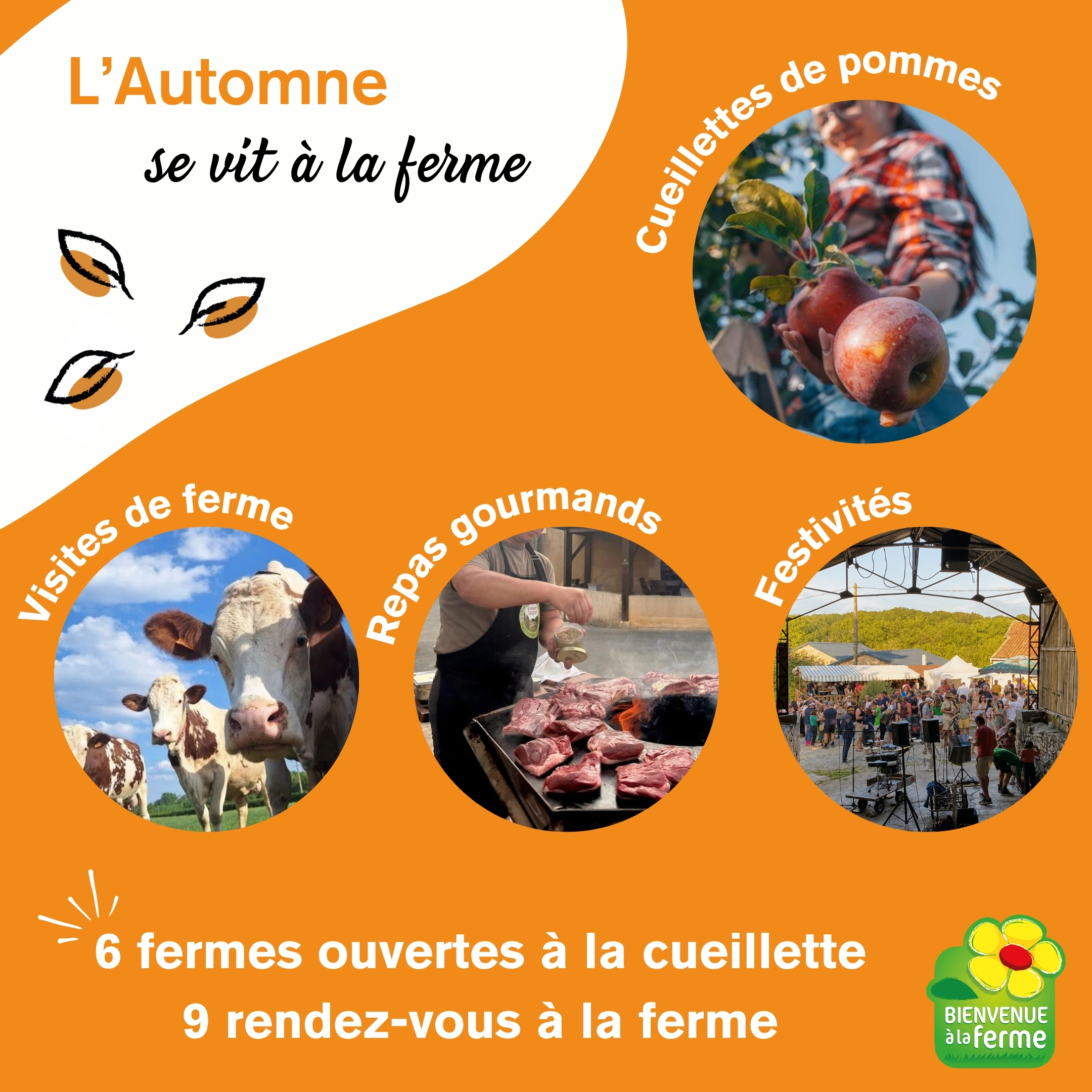 AUTOMNE A LA FERME