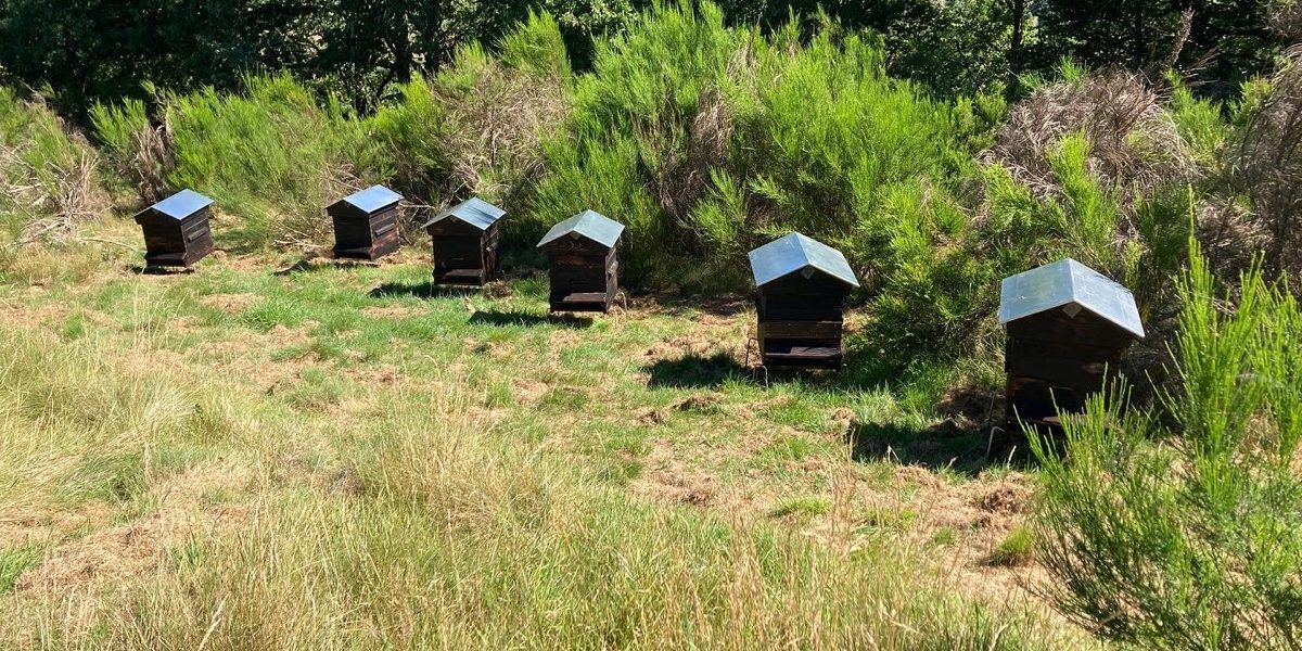 La ferme du gentleman
