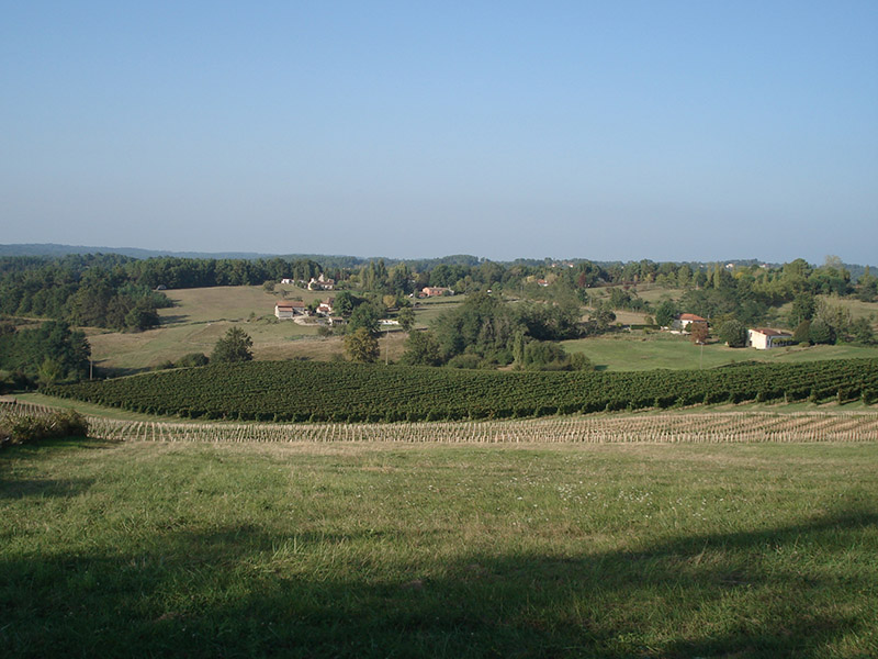 Boucle de la Palombière - Ginestet