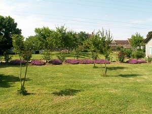Maison La Petite Vigne