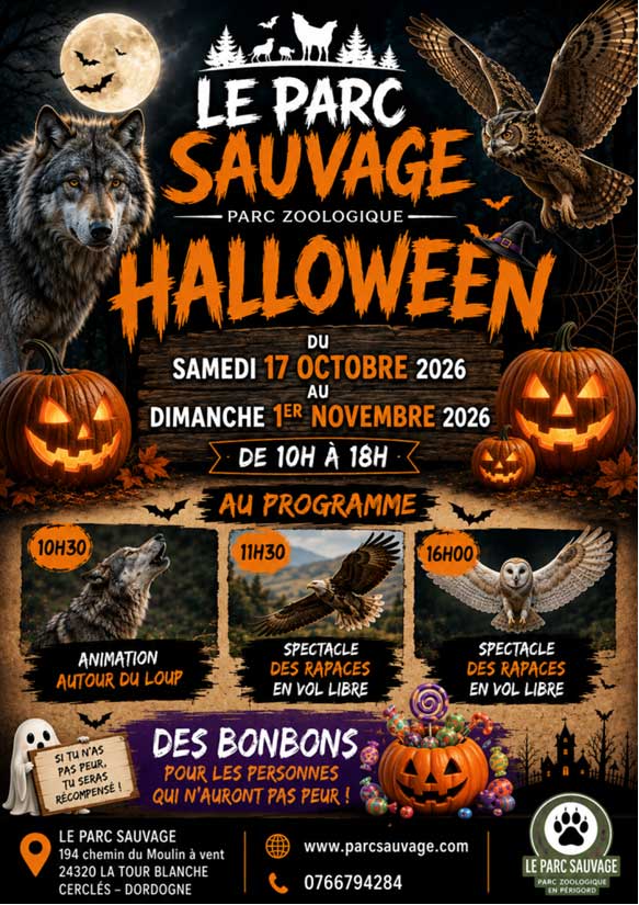 Halloween au Parc Sauvage