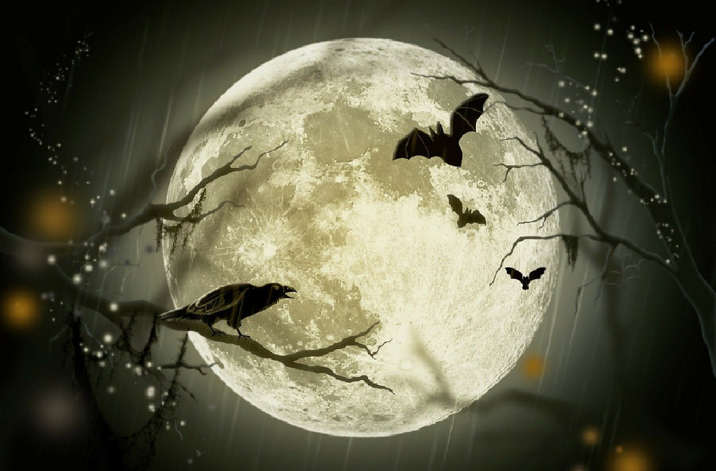 Chasse au trésor d'Halloween : el día de los muertos