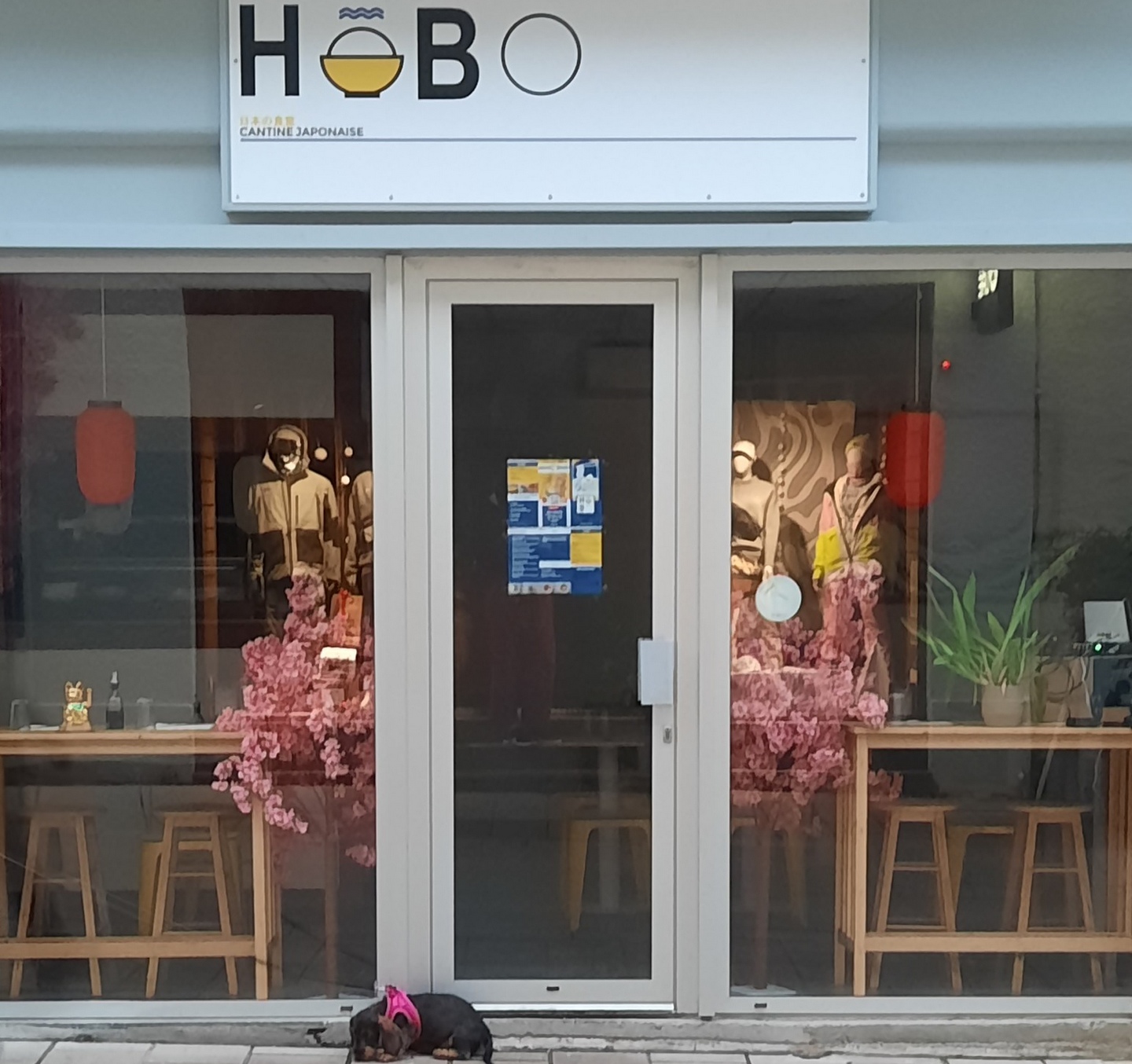 Hobo