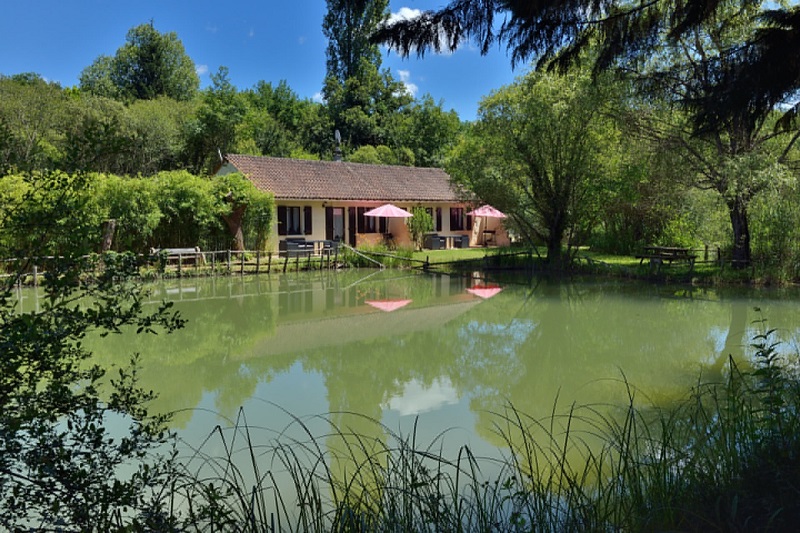 Le Mas du Ponteil - Châtaignier