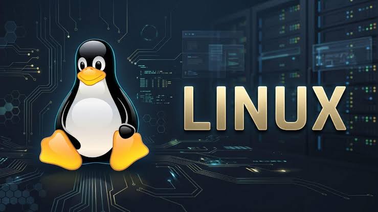 Atelier linux - Information et installation