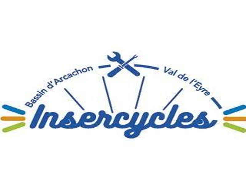 ins c logo redi