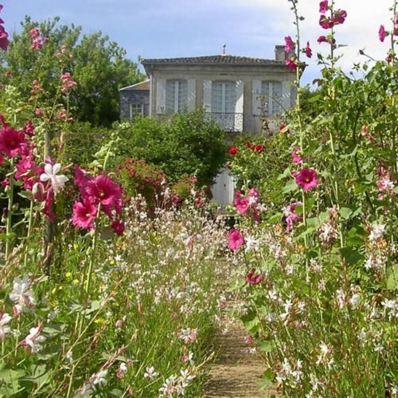 Affiche ou photo : Château de Mongenan