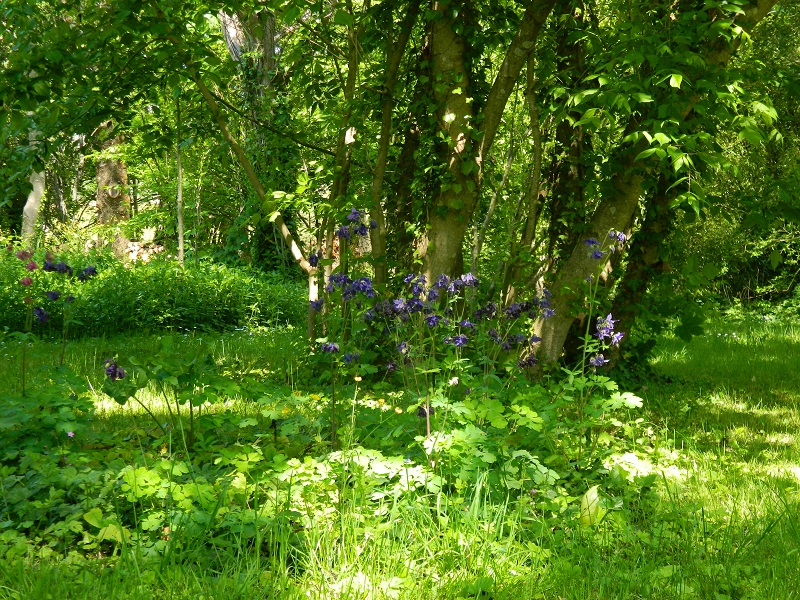 Aux Jardins du Lardot