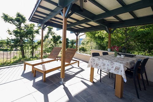 Domaine de L'Ancien Vignoble - L'Olive