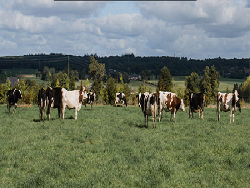 Ferme de la Séoune