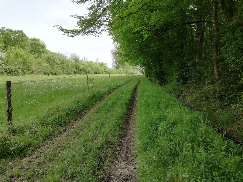 Circuit VTT 7 - La Rive gauche Graoussettes