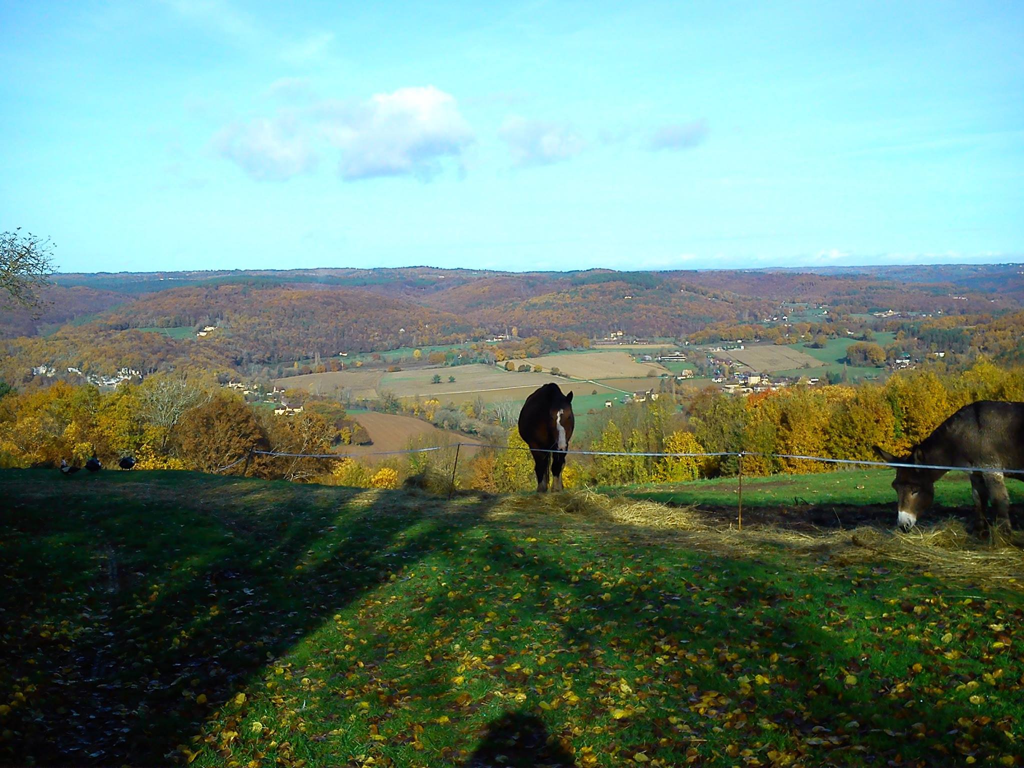 Camping de la Ferme du Pelou