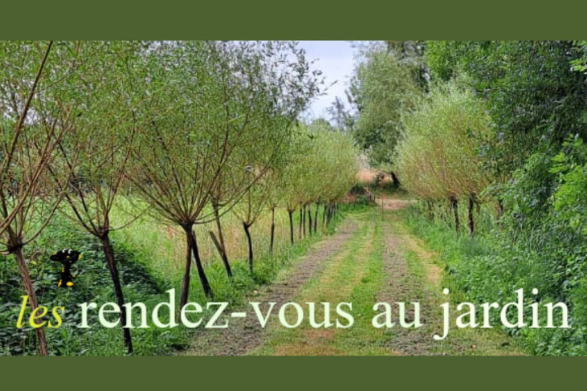 Les rendez-vous au jardin