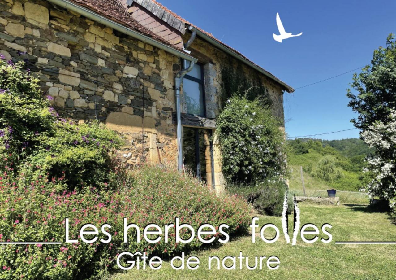 lesherbesfolles-carte001