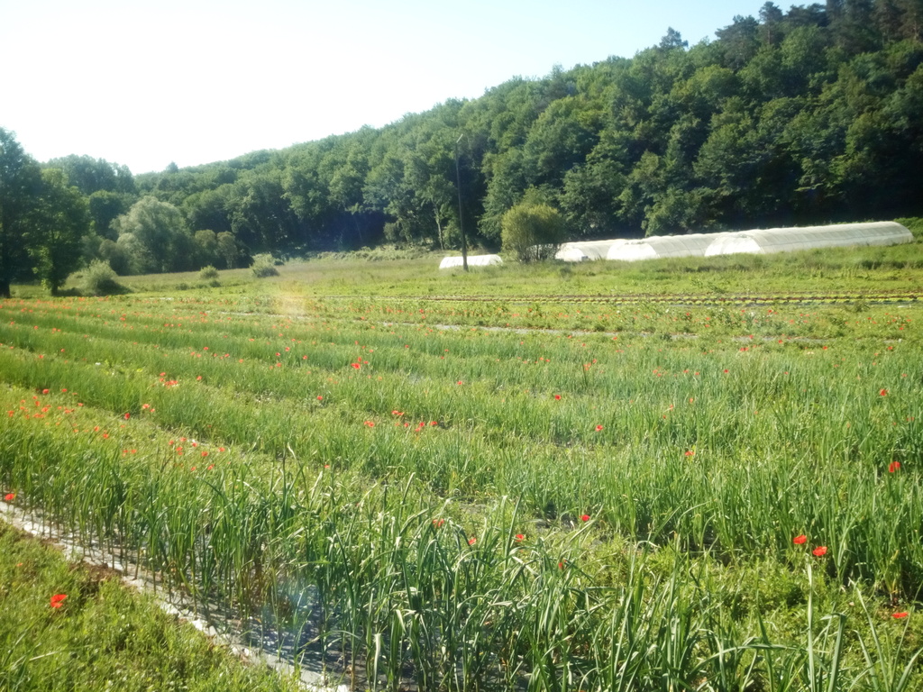 Les Jardins de Valojoulx