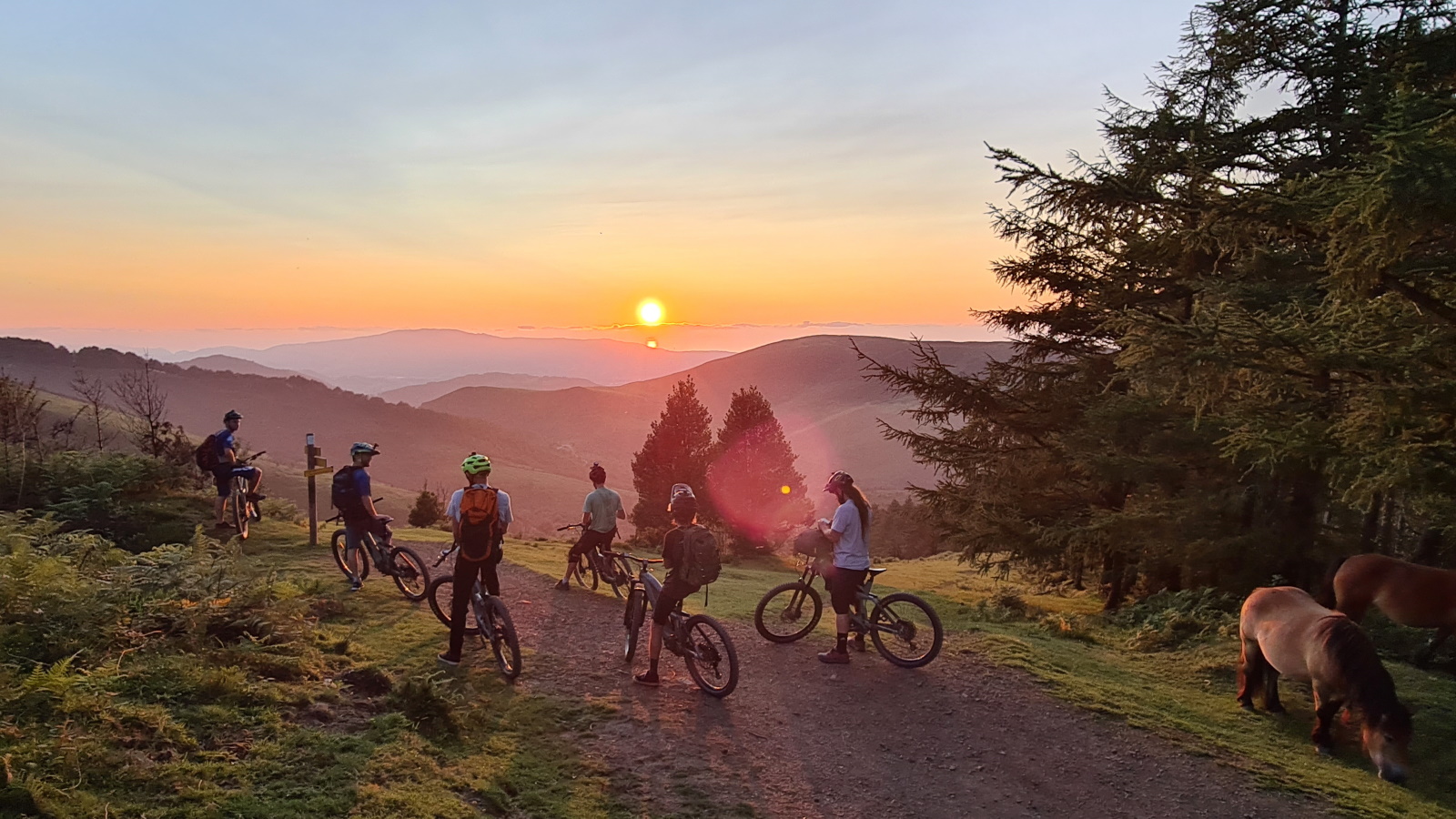 Liluak VTT
