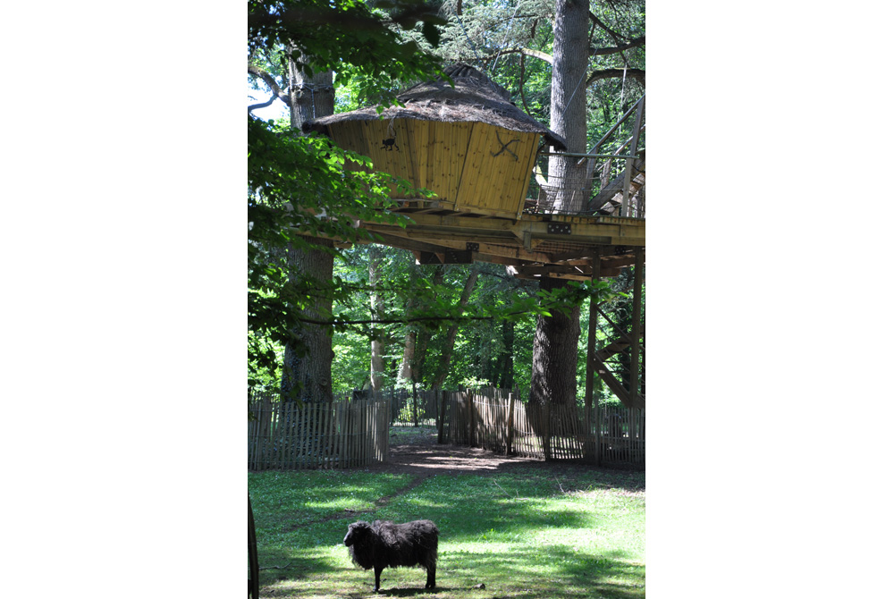 Cabane des Ecureuils - Le Parc de la Belle