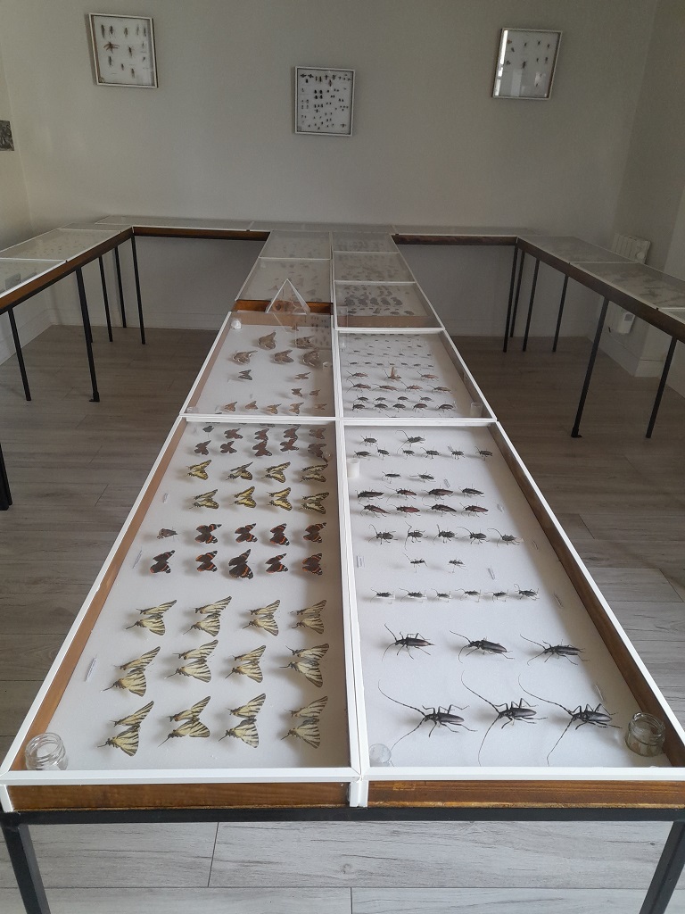 La Maison de l'insecte