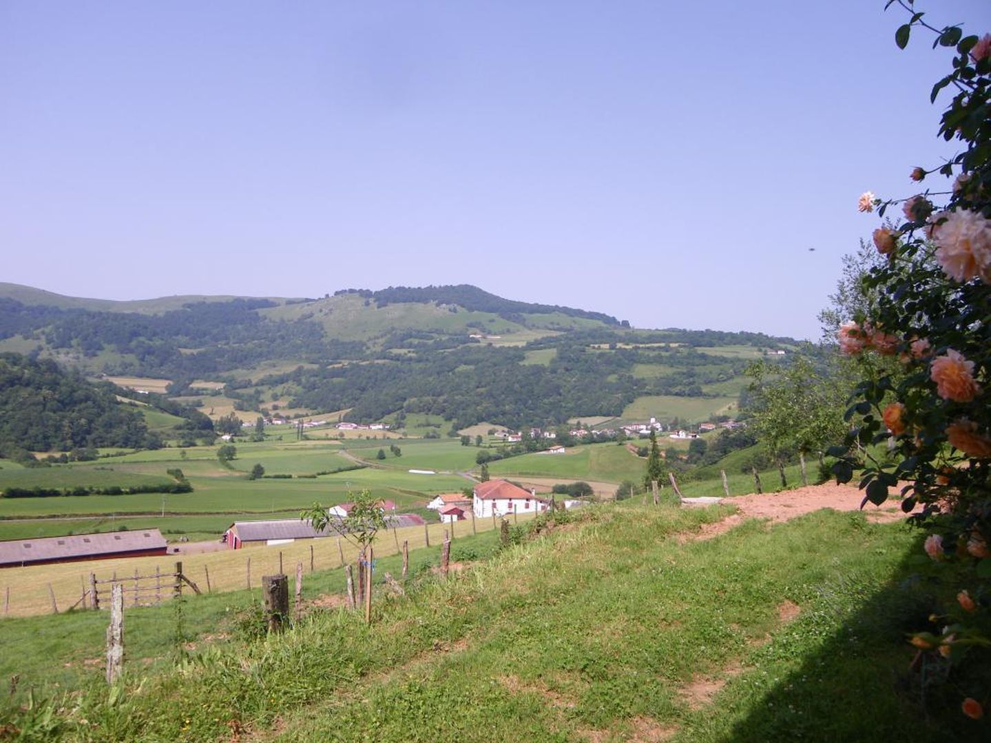 Loyarri