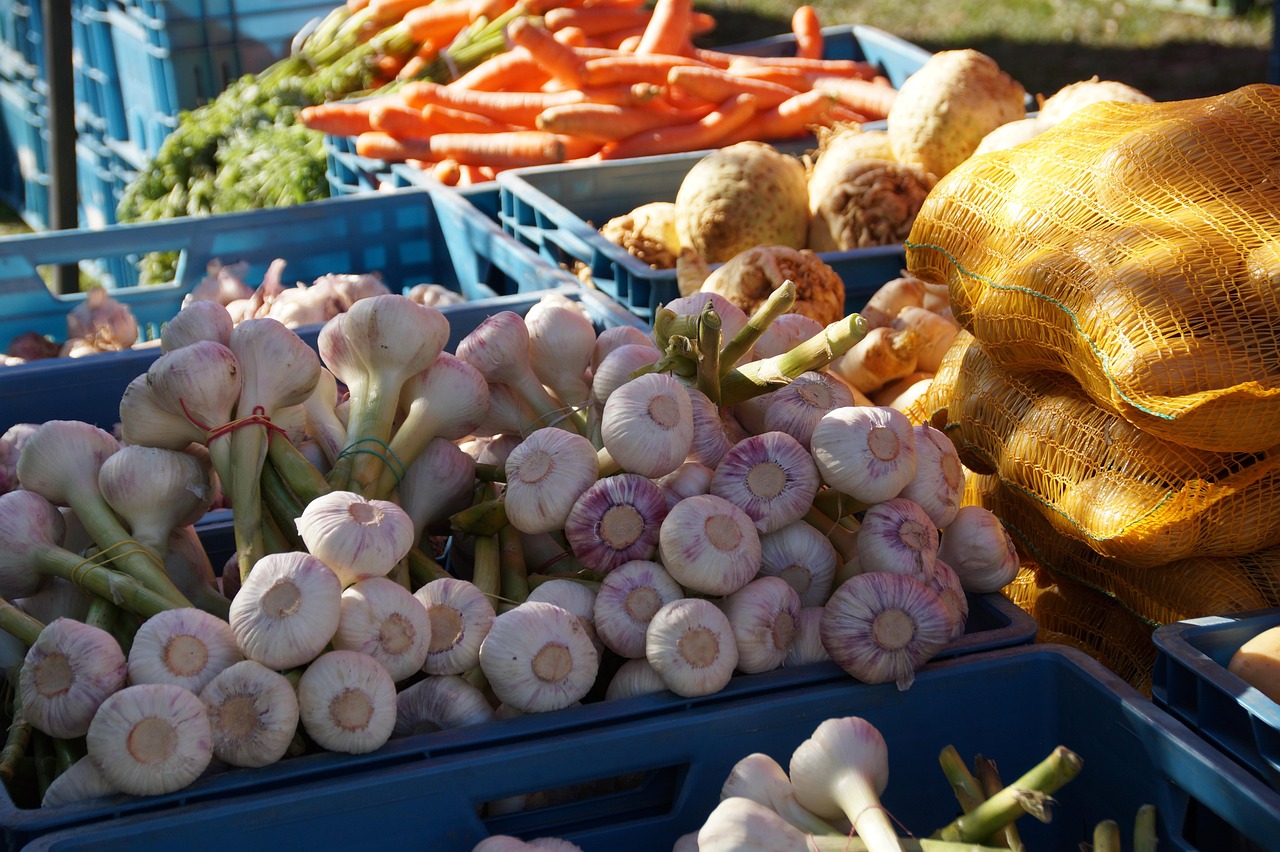 Marché du mercredi à La Tour Blanche-Cercles — La Tour-Blanche-Cercles