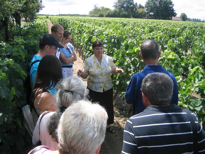 Château Le Maine Périn