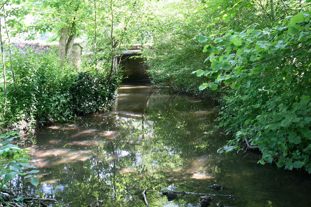 Camping de l'Allochon