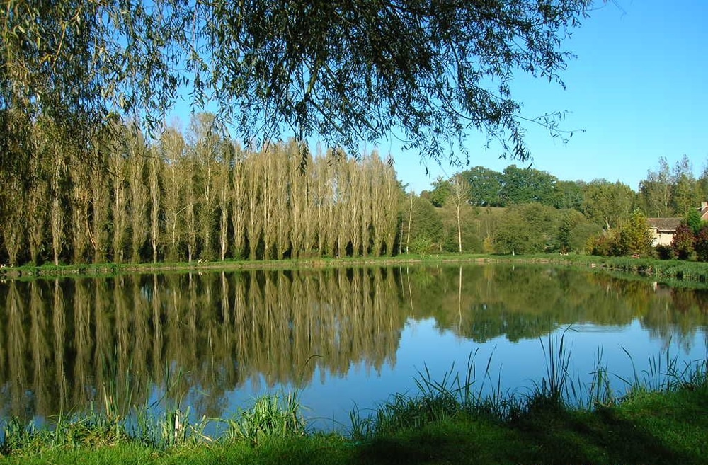 montreuil-etang du Roy - photo 2