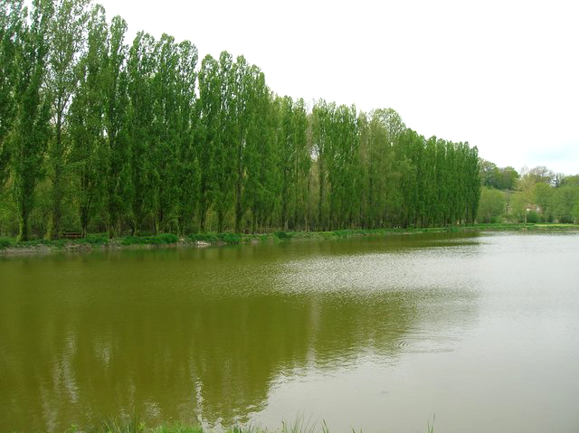 Plan d'eau communal_5