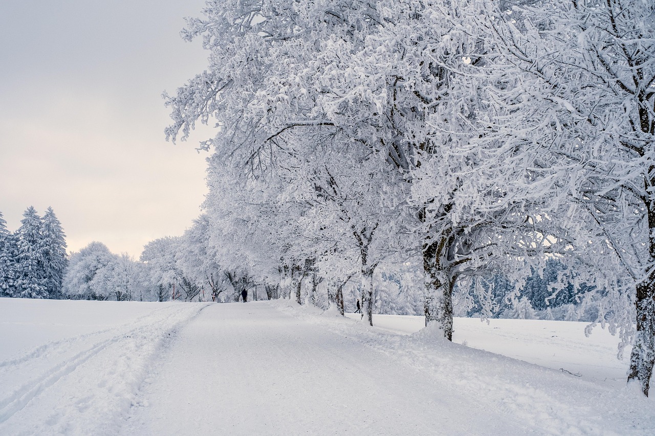 Winterreise : Voyage d'hiver de Schubert