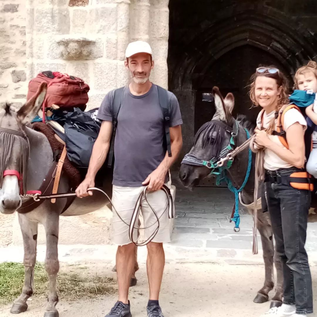 Les ânes voyageurs
