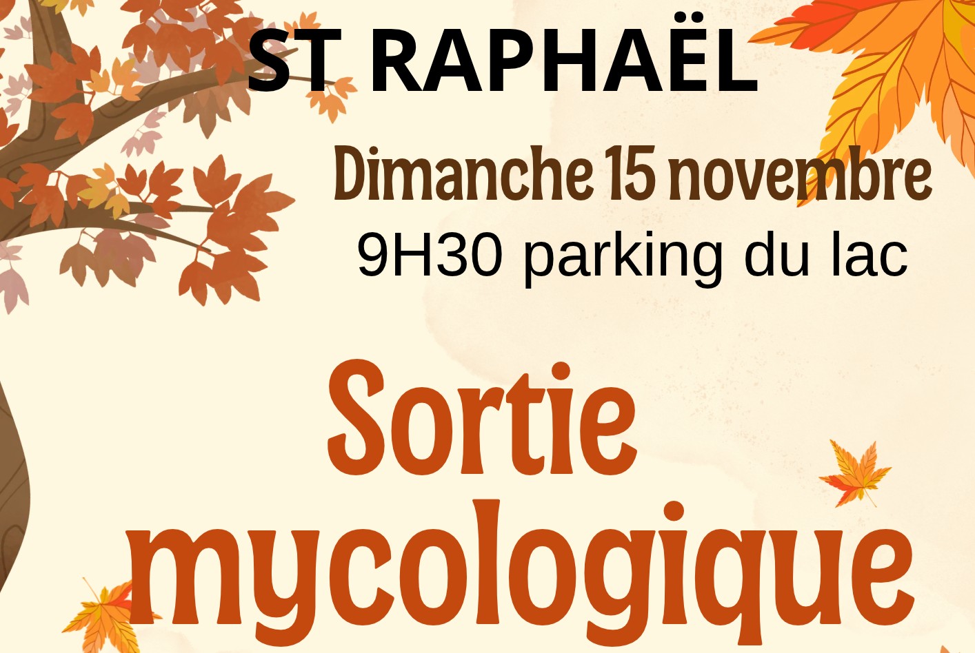 Sortie mycologique