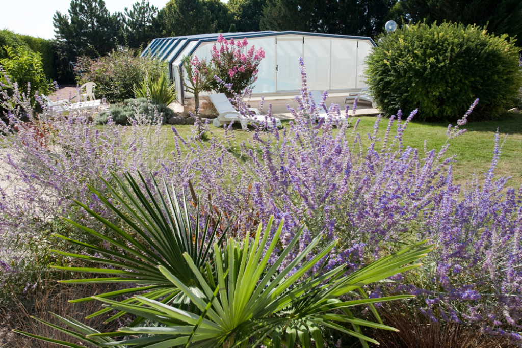 Extérieur - photo 3
