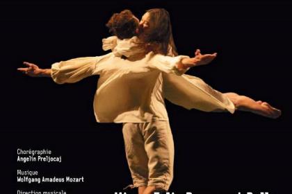 Projection du ballet Le Parc 