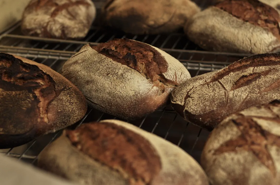 Atelier initiation fabrication pain au levain et balade en forêt