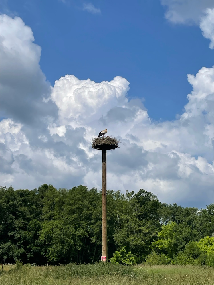 Aire naturelle et camping à la ferme La Grange