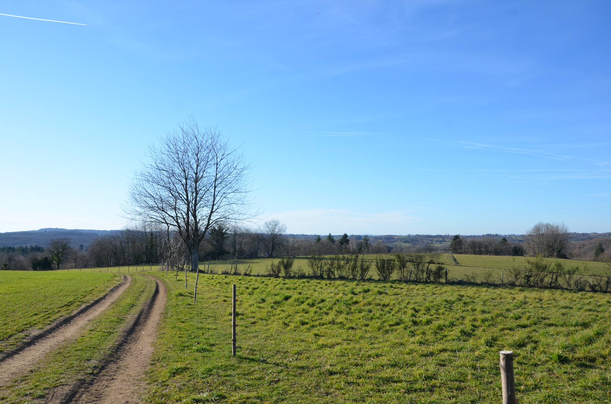 Circuit de Caux