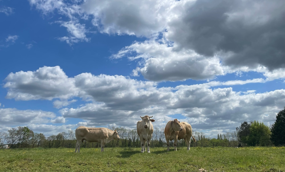 Aire naturelle et camping à la ferme La Grange