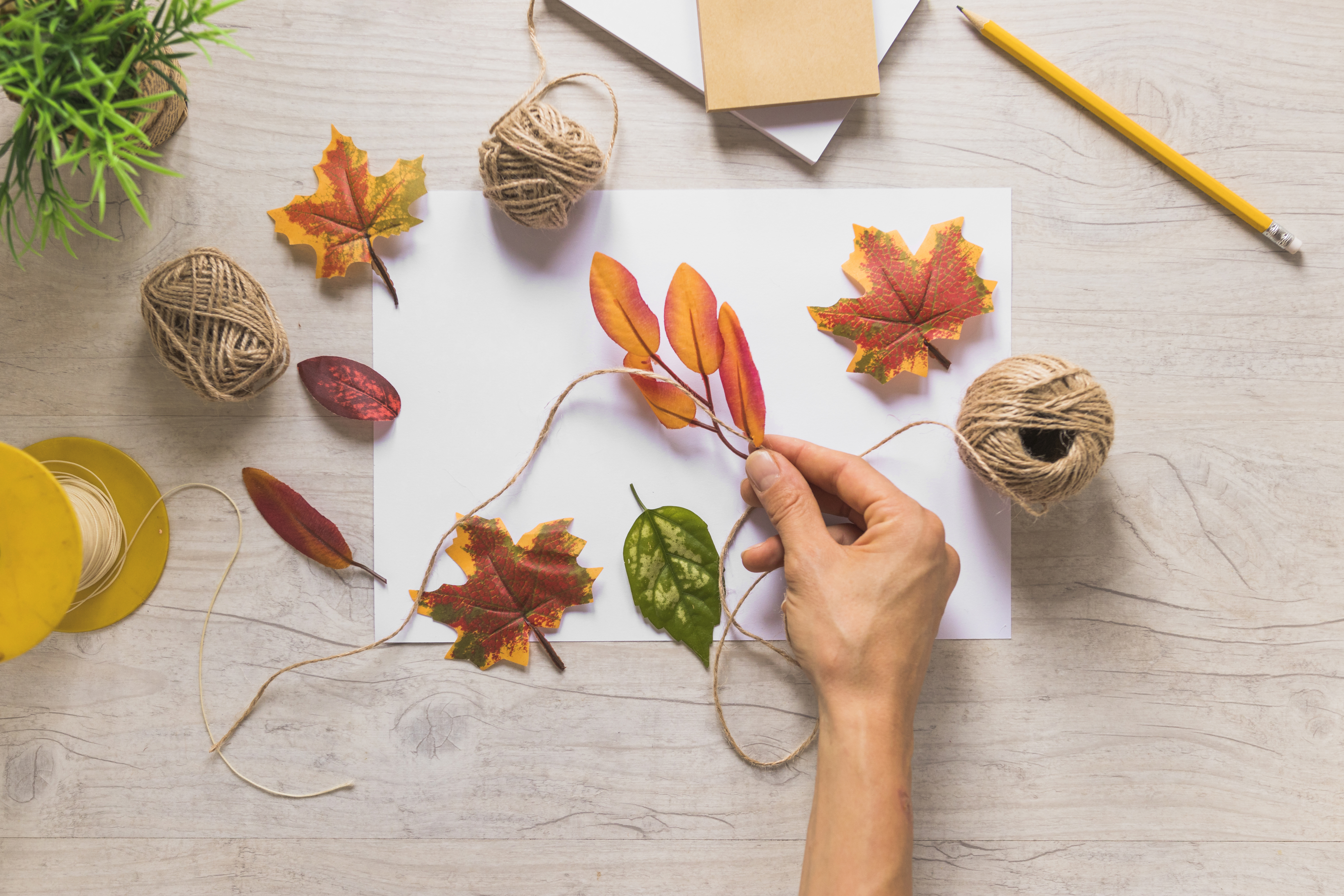 Après-midi famille - Thème automne