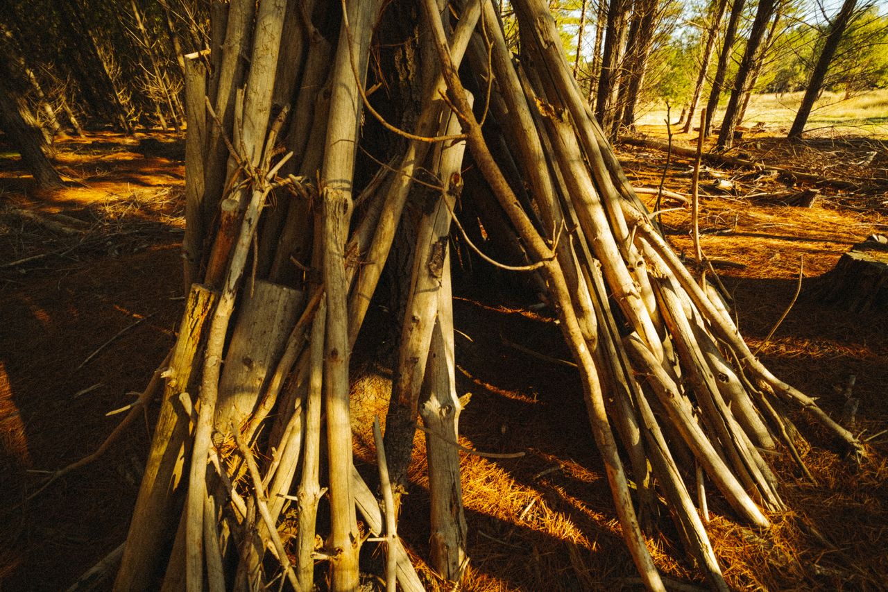 Atelier réalisation d'un abri "tipi"