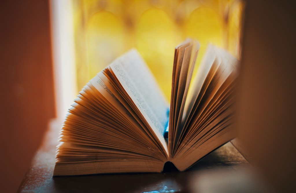 Salon du livre