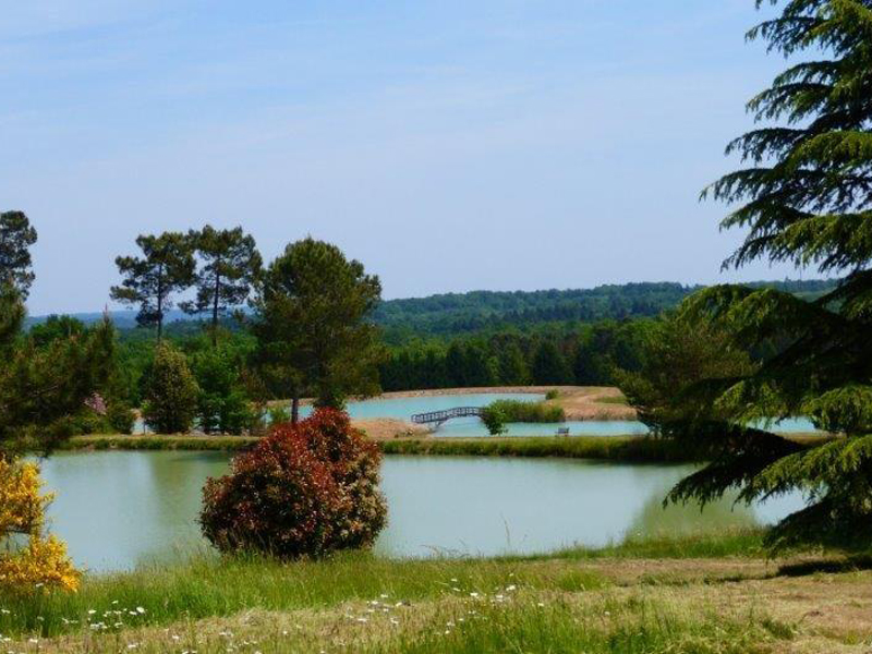 Domaine de Brissonneau - Les Prunus