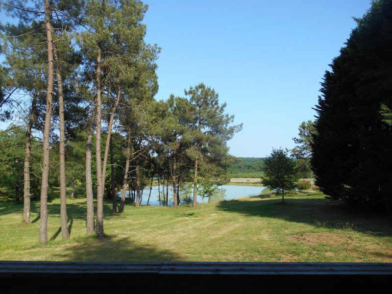Domaine de Brissonneau - Les Palmiers