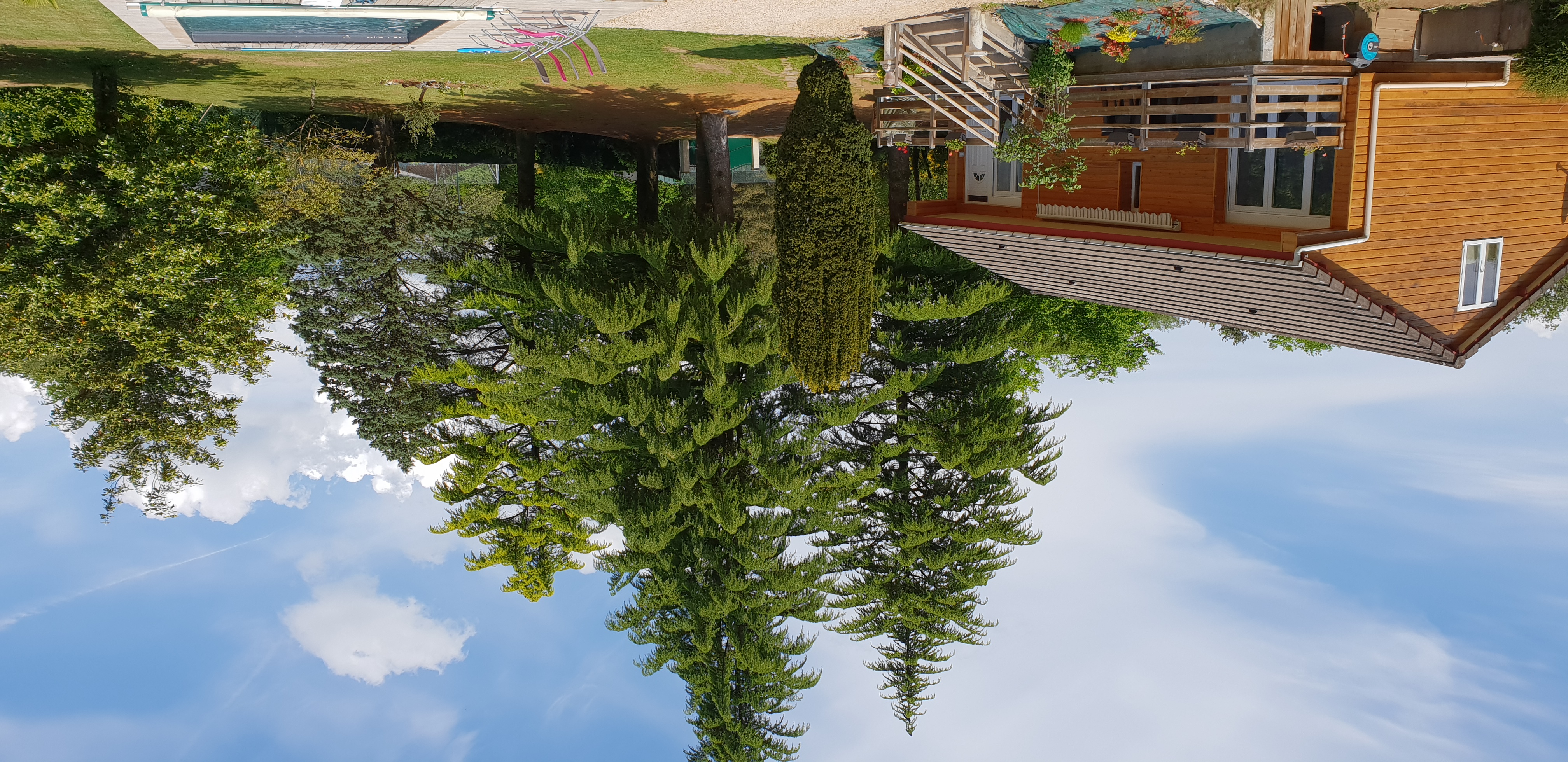 Les Sapins Mellifères