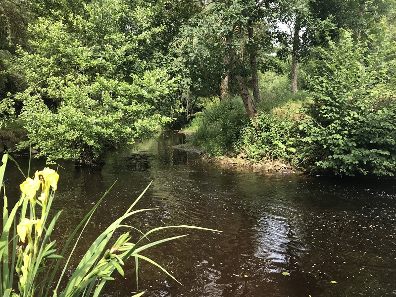 Le Moulin du Pont