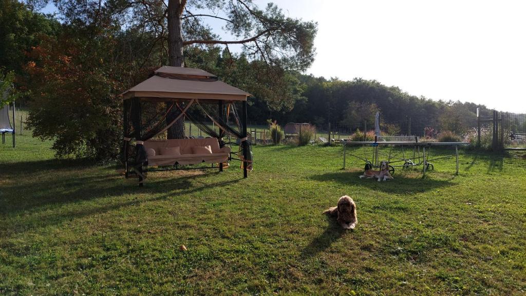Gîte La Ferme des Petites Oreilles