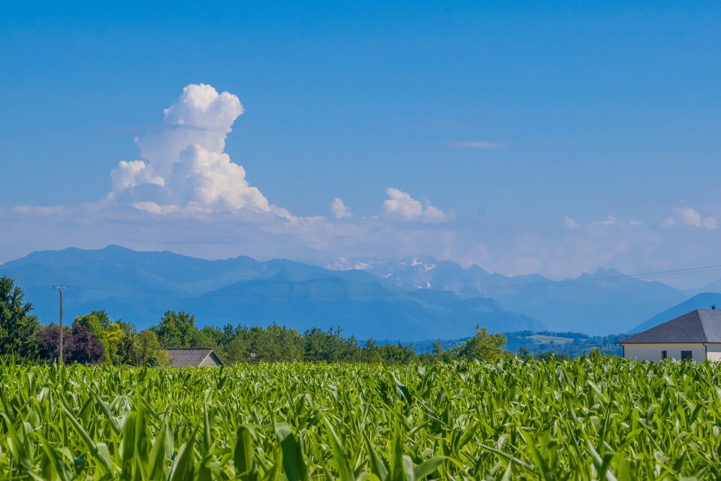 Poey-de-Lescar - La Vallée de l'Ousse