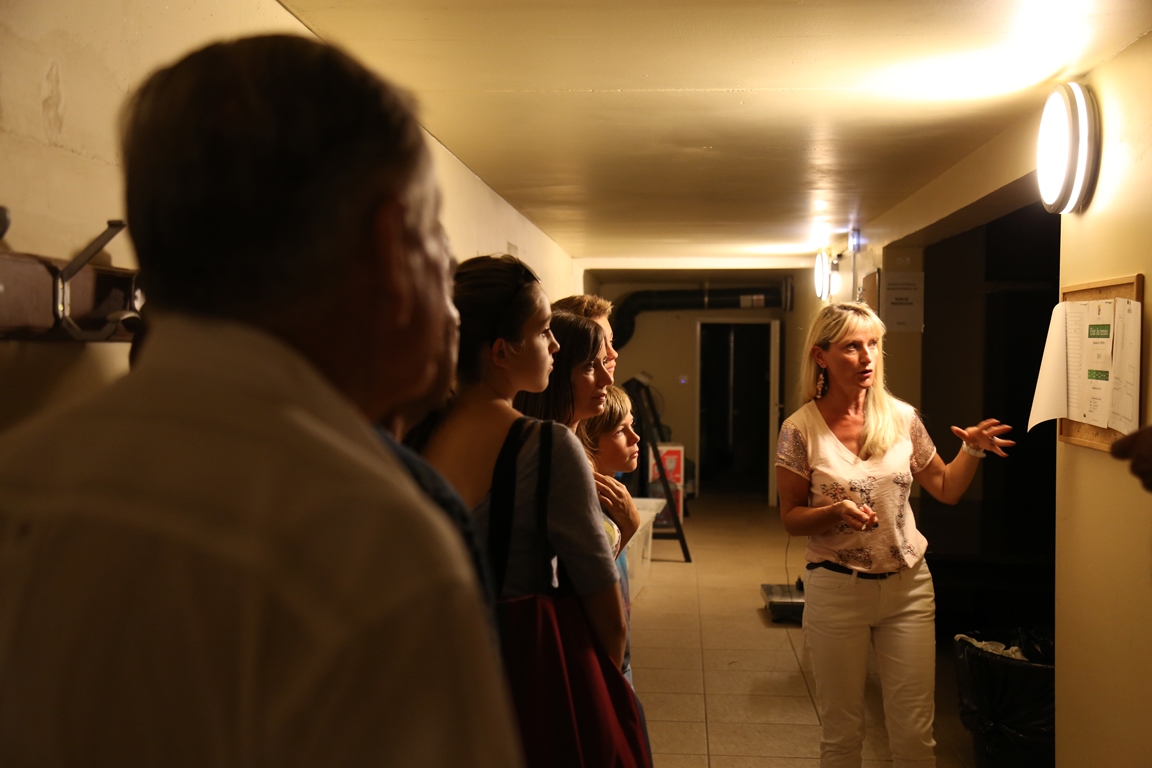 Visite privilège à l’hippodrome, un jour de courses