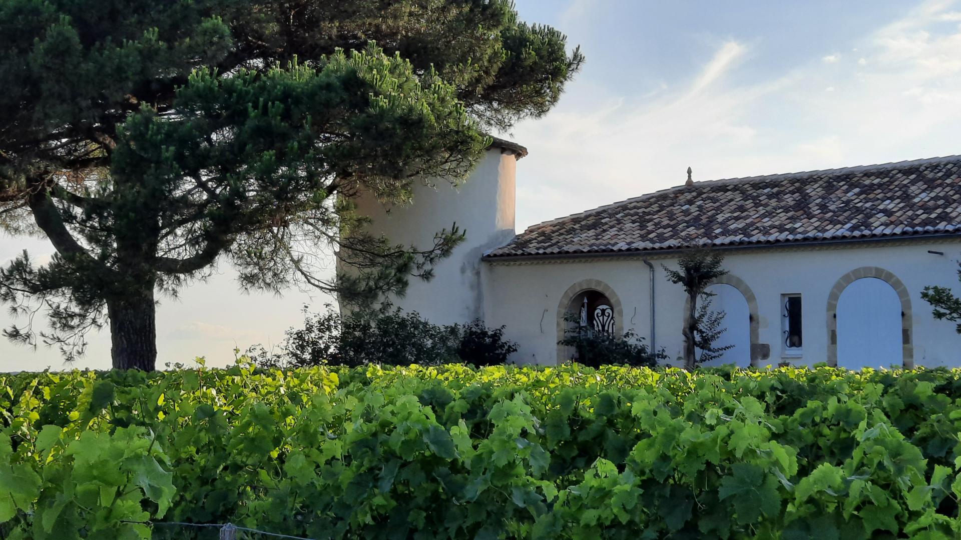 Le Castèl de Lamothe