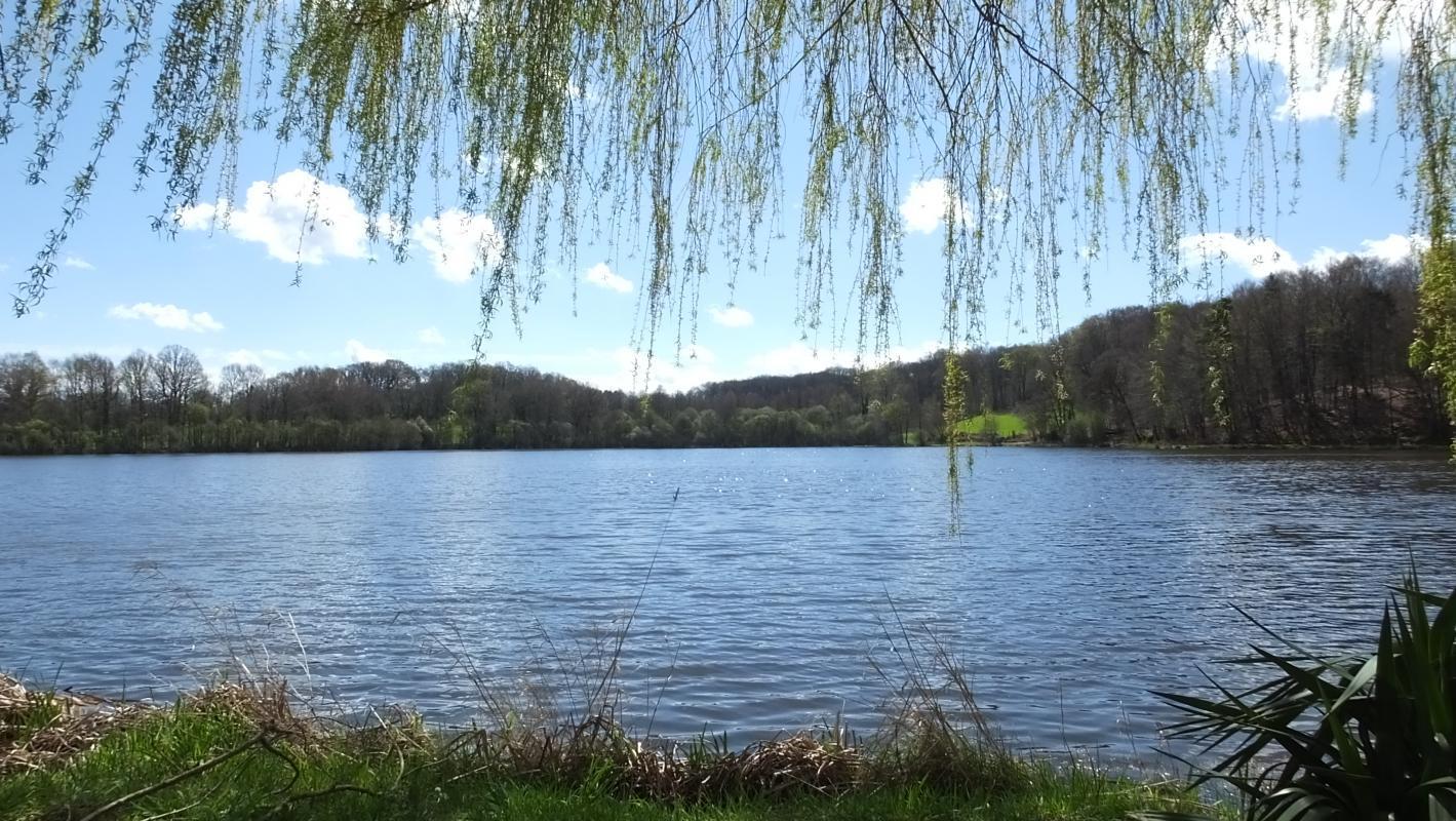 Bord'Eau