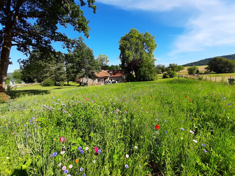 Chambre d'hôtes La Ferme des Petites Oreilles